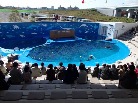 仙台うみの杜水族館