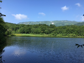 何と綺麗なことでしょう。上沼と奥に見える山には残雪を眺めることができました。