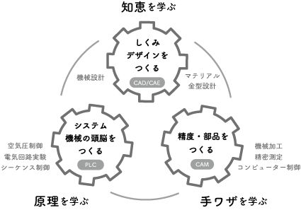 カリキュラム図